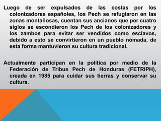 Luego de ser expulsados de las costas por los
colonizadores españoles, los Pech se refugiaron en las
zonas montañosas, cuentan sus ancianos que por cuatro
siglos se escondieron los Pech de los colonizadores y
los zambos para evitar ser vendidos como esclavos,
debido a esto se convirtieron en un pueblo nómada, de
esta forma mantuvieron su cultura tradicional.
Actualmente participan en la política por medio de la
Federación de Tribus Pech de Honduras (FETRIPH),
creada en 1985 para cuidar sus tierras y conservar su
cultura.
 