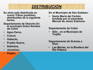 Su etnia está distribuida en
nueve Tribus (pueblos),
distribuidos de la siguiente
forma:
Departamento de Olancho En
el municipio Dulce Nombre
de Culmí
• Agua Zarca,
• Culuco
• Vallecito,
• Pueblo Nuevo,
• Subirana,
• Jocomico,
• Pisijire
En el Municipio de San Esteban:
• Santa María del Carbón
fundada por el sacerdote
Manuel de Jesús Subirana.
Departamento de Colón
• Silin , en el Municipio de
Trujillo.
Departamento de Gracias a
Dios:
• Las Marías, en la Biosfera del
Río Plátano
DISTRIBUCIÓN
 