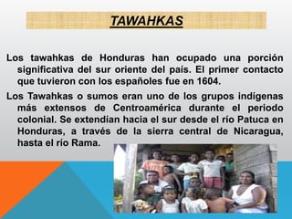 TAWAHKAS
Los tawahkas de Honduras han ocupado una porción
significativa del sur oriente del país. El primer contacto
que tuvieron con los españoles fue en 1604.
Los Tawahkas o sumos eran uno de los grupos indígenas
más extensos de Centroamérica durante el periodo
colonial. Se extendían hacia el sur desde el río Patuca en
Honduras, a través de la sierra central de Nicaragua,
hasta el río Rama.
 