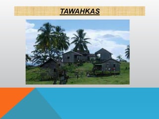 TAWAHKAS
 