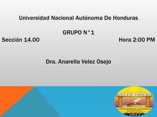 Universidad Nacional Autónoma De Honduras
GRUPO N°1
Sección 14.00 Hora 2:00 PM
Dra. Anarella Velez Osejo
 