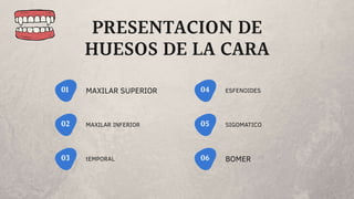 PRESENTACION DE
HUESOS DE LA CARA
MAXILAR SUPERIOR01
MAXILAR INFERIOR02
tEMPORAL03
ESFENOIDES04
SIGOMATICO05
BOMER06
 