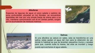 Albuferas
Especies de lagunas de agua un poco salada o salobre de
poca profundidad ubicadas en los litorales ,se encuentra...