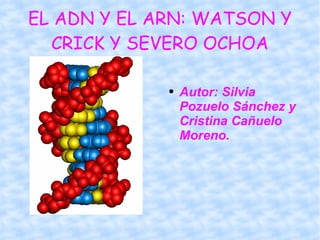 EL ADN Y EL ARN: WATSON Y CRICK Y SEVERO OCHOA ,[object Object]