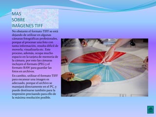 MAS 
SOBRE 
IMÁGENES TIFF 
No obstante el formato TIFF se está 
dejando de utilizar en algunas 
cámaras fotográficas profesionales, 
porque al procesar una foto con 
tanta información, resulta difícil de 
moverla, visualizarla etc. Este 
proceso, además, ocupa mucho 
espacio en la tarjeta de memoria de 
la cámara, por esto las cámaras 
incluyen el formato JPEG y el 
formato RAW para guardar las 
fotos en archivos. 
En cambio, utilizar el formato TIFF 
para escanear una imagen es 
adecuado, porque el archivo se 
manejará directamente en el PC, y 
puede destinarse también para la 
impresión precisando para ello de 
la máxima resolución posible. 
 