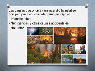 Las causas que originan un incendio forestal se
agrupan pues en tres categorías principales:
- Intencionados
- Negligencias y otras causas accidentales
- Naturales
 