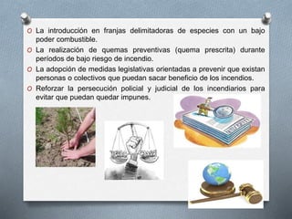 O La introducción en franjas delimitadoras de especies con un bajo
poder combustible.
O La realización de quemas preventivas (quema prescrita) durante
períodos de bajo riesgo de incendio.
O La adopción de medidas legislativas orientadas a prevenir que existan
personas o colectivos que puedan sacar beneficio de los incendios.
O Reforzar la persecución policial y judicial de los incendiarios para
evitar que puedan quedar impunes.
 