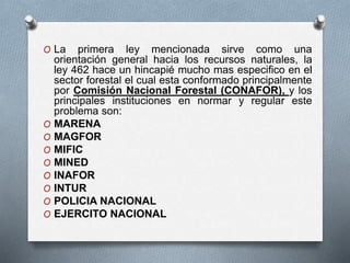 O La primera ley mencionada sirve como una
orientación general hacia los recursos naturales, la
ley 462 hace un hincapié mucho mas especifico en el
sector forestal el cual esta conformado principalmente
por Comisión Nacional Forestal (CONAFOR), y los
principales instituciones en normar y regular este
problema son:
O MARENA
O MAGFOR
O MIFIC
O MINED
O INAFOR
O INTUR
O POLICIA NACIONAL
O EJERCITO NACIONAL
 