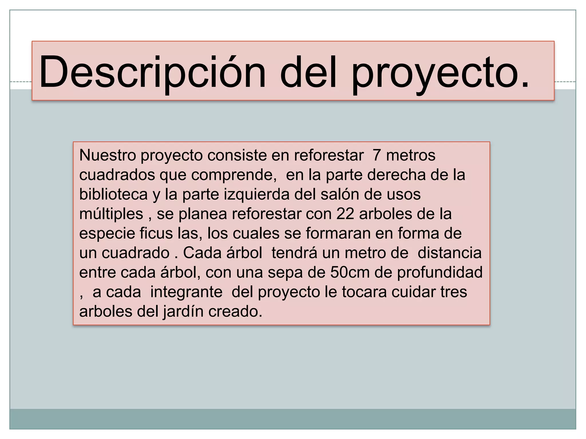 Descripción del proyecto.
Nuestro proyecto consiste en reforestar 7 metros
cuadrados que comprende, en la parte derecha de la
biblioteca y la parte izquierda del salón de usos
múltiples , se planea reforestar con 22 arboles de la
especie ficus las, los cuales se formaran en forma de
un cuadrado . Cada árbol tendrá un metro de distancia
entre cada árbol, con una sepa de 50cm de profundidad
, a cada integrante del proyecto le tocara cuidar tres
arboles del jardín creado.
 