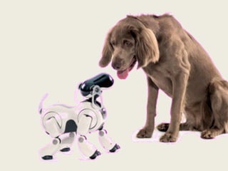 De acuerdo a su cronología, los robots se han clasificado en 4 generaciones. Desde los sistemas  mas sencillos a control remoto (1ra Generación), los que realizan movimientos previamente programados (2da Generación) y aquellos que  tienen un control sensorial operado por una computadora  programada para ejecutar diferentes  movimientos (3ra Generación), y los que tienen  sensores  para enviar información a la computadora, retroalimentando su propio procesador electrónico para estar  informando sobre el estado de la actividad realizada. (4ta generación)