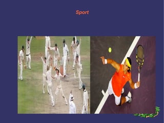 Sport
 