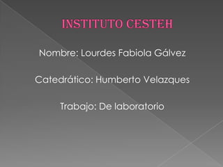 Nombre: Lourdes Fabiola Gálvez

Catedrático: Humberto Velazques

     Trabajo: De laboratorio
 