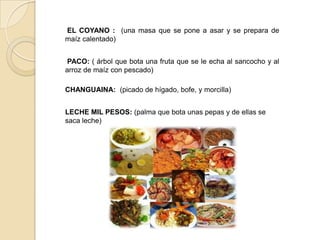 EL COYANO : (una masa que se pone a asar y se prepara de
maíz calentado)


 PACO: ( árbol que bota una fruta que se le echa al sancocho y al
arroz de maíz con pescado)

CHANGUAINA: (picado de hígado, bofe, y morcilla)


LECHE MIL PESOS: (palma que bota unas pepas y de ellas se
saca leche)
 