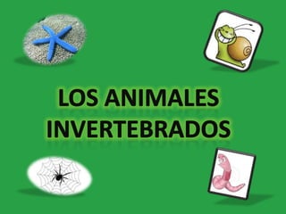 Los animales invertebrados  