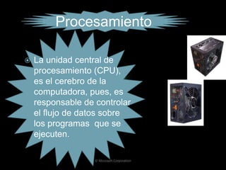 Elementos físicos y lógicos del computador