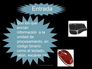 Elementos físicos y lógicos del computador