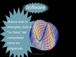 Elementos físicos y lógicos del computador