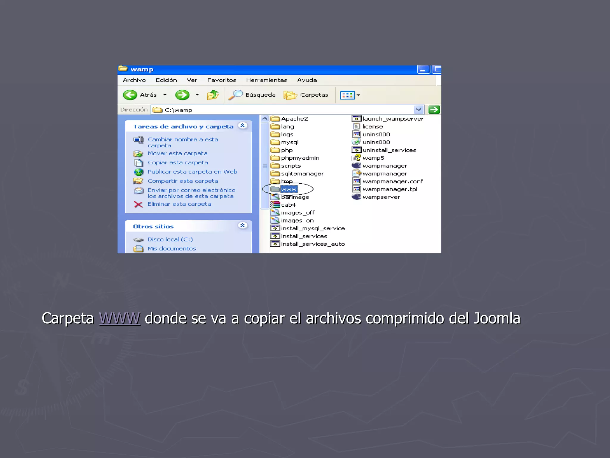 Carpeta  WWW  donde se va a copiar el archivos comprimido del Joomla 