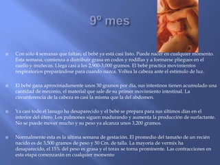    Con sólo 4 semanas que faltan, el bebé ya está casi listo. Puede nacer en cualquier momento.
    Esta semana, comienza a distribuir grasa en codos y rodillas y a formarse pliegues en el
    cuello y muñecas. Llega casi a los 2,900-3,000 gramos. El bebé practica movimientos
    respiratorios preparándose para cuando nazca. Voltea la cabeza ante el estímulo de luz.

   El bebé gana aproximadamente unos 30 gramos por día, sus intestinos tienen acumulado una
    cantidad de meconio, el material que sale de su primer movimiento intestinal. La
    circunferencia de la cabeza es casi la misma que la del abdomen.

   Ya casi todo el lanugo ha desaparecido y el bebé se prepara para sus últimos días en el
    interior del útero. Los pulmones siguen madurando y aumenta la producción de surfactante.
    No se puede mover mucho y su peso ya alcanza unos 3,200 gramos.

   Normalmente esta es la última semana de gestación. El promedio del tamaño de un recién
    nacido es de 3,500 gramos de peso y 50 Cm. de talla. La mayoría de vermix ha
    desaparecido, el 15% del peso es grasa y el torax se torna prominente. Las contracciones en
    esta etapa comenzarán en cualquier momento
 