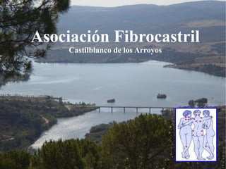 Asociación Fibrocastril
Castilblanco de los Arroyos
 