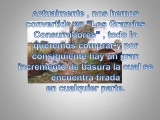 Presentacion de la basura