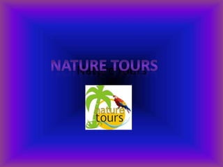 Nature tours Nature tours 