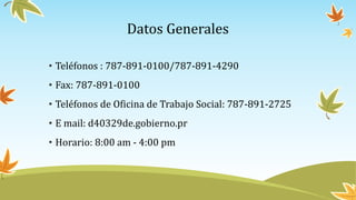 Datos Generales
• Teléfonos : 787-891-0100/787-891-4290
• Fax: 787-891-0100
• Teléfonos de Oficina de Trabajo Social: 787-891-2725
• E mail: d40329de.gobierno.pr
• Horario: 8:00 am - 4:00 pm
 