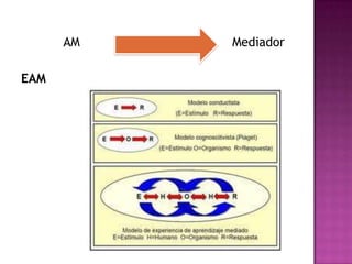 AM   Mediador

EAM
 