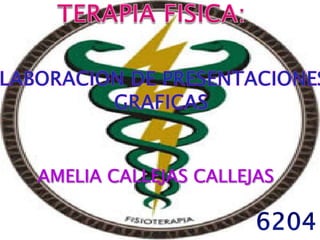 TERAPIA FISICA: ELABORACION DE PRESENTACIONES  GRAFICAS AMELIA CALLEJAS CALLEJAS 6204 