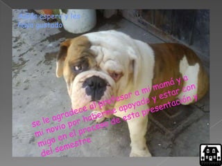 Adiós espero y les
haya gustado
 