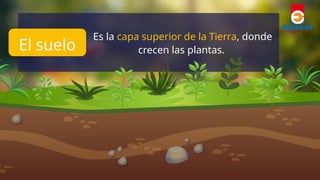 La importancia del suelo para la vida y el medio ambiente | PPTX