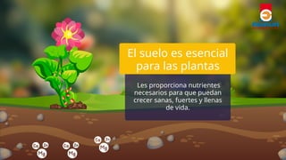 La importancia del suelo para la vida y el medio ambiente | PPTX