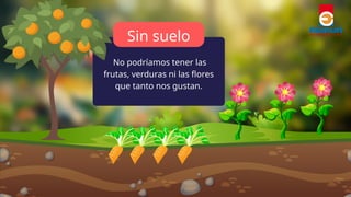 La importancia del suelo para la vida y el medio ambiente | PPTX
