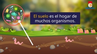 La importancia del suelo para la vida y el medio ambiente | PPTX