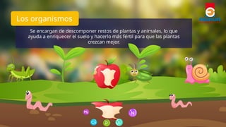 La importancia del suelo para la vida y el medio ambiente | PPTX