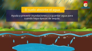 La importancia del suelo para la vida y el medio ambiente | PPTX