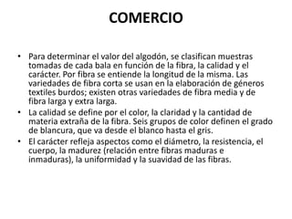RECOLECCIÓNRecolección Manual. La forma de recolección manual es muy sencilla consiste en recolectar el algodón de la planta introduciéndolo en unos sacos hasta alcanzar un peso próximo de los mismos de 25 kg. Los sacos se cargan en remolques, donde después son llevados a la fábrica o factoría.La recolección manual es de mayor calidad ya que el algodón recolectado es más limpio. Pero el inconveniente radica en la mano de obra que es más costosa que empleando maquinaria. 