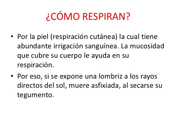 Comprar el preparado de los helmintos