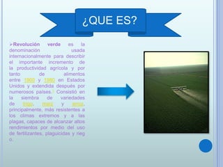 ¿QUE ES?
Revolución verde es la
denominación usada
internacionalmente para describir
el importante incremento de
la productividad agrícola y por
tanto de alimentos
entre 1960 y 1980 en Estados
Unidos y extendida después por
numerosos países.1 Consistió en
la siembra de variedades
de trigo, maíz y arroz,
principalmente, más resistentes a
los climas extremos y a las
plagas, capaces de alcanzar altos
rendimientos por medio del uso
de fertilizantes, plaguicidas y rieg
o.
 