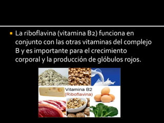  La riboflavina (vitamina B2) funciona en
conjunto con las otras vitaminas del complejo
B y es importante para el crecimiento
corporal y la producción de glóbulos rojos.
 