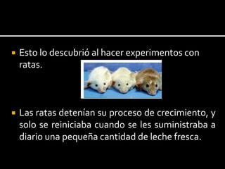  Esto lo descubrió al hacer experimentos con
ratas.
 Las ratas detenían su proceso de crecimiento, y
solo se reiniciaba cuando se les suministraba a
diario una pequeña cantidad de leche fresca.
 