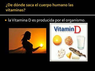  laVitamina D es producida por el organismo.
 