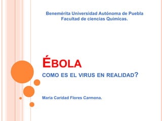 ÉBOLA
COMO ES EL VIRUS EN REALIDAD?
Maria Caridad Flores Carmona.
Benemérita Universidad Autónoma de Puebla
Facultad de ciencias Químicas.
 