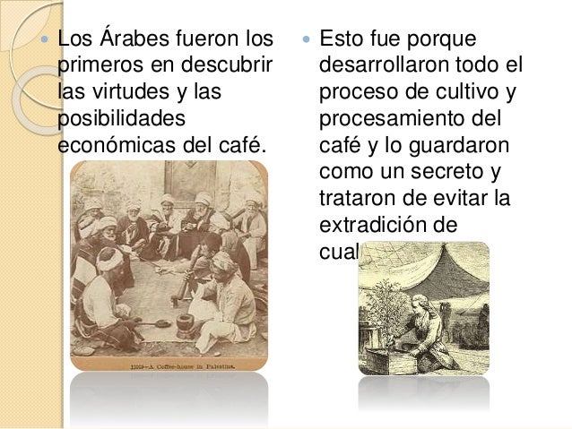 HISTORIA DEL CAFE