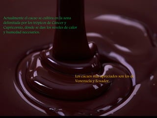 Actualmente el cacao se cultiva en la zona
delimitada por los trópicos de Cáncer y
Capricornio, dónde se dan los niveles de calor
y humedad necesarios. 




                                            Los cacaos más apreciados son los de
                                            Venezuela y Ecuador.
 