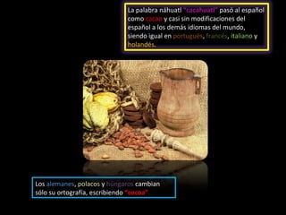 La palabra náhuatl “cacahuatl” pasó al español
                             como cacao y casi sin modificaciones del
                             español a los demás idiomas del mundo,
                             siendo igual en portugués, francés, italiano y
                             holandés.




Los alemanes, polacos y húngaros cambian
sólo su ortografía, escribiendo “cocoa”.
 