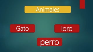 Animales
Gato loro
perro
 