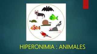 HIPERONIMIA : ANIMALES
 