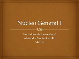 Mercadotecnia Internacional
Alexandra Montes Castillo
         A12-160
 