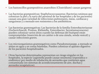 • Los bastoncillos grampositivos anaerobios (Clostridium) causan gangrena
• Las bacterias grampositivas: Staphylococcusaureus (bacterias cutáneas que
colonizan la piel y la nariz del personal de los hospitales y de los pacientes)
causan una gran variedad de infecciones pulmonares, óseas, cardíacas y
sanguíneas y a menudo son resistentes a los antibióticos.
• Las bacterias gramnegativas: Las bacterias de la familia Enterobacteriaceae
(Escherichiacoli, Proteus, Klebsiella, Enterobacter, Serratiamarcescens)
pueden colonizar varios sitios cuando las defensas del huésped están
comprometidas (inserción de un catéter o de una cánula, sonda vesical) y
causar infecciones graves.
• Los microorganismos gramnegativos como Pseudomonasspp. a menudo se
aíslan en agua y en zonas húmedas. Pueden colonizar el aparato digestivo
de los pacientes hospitalizados.
• Otras bacterias determinadas representan un riesgo singular en los
hospitales, la especie Legionella puede causar neumonía (esporádica o
endémica) por medio de inhalación de aerosoles que contienen agua
contaminada (en sistemas de acondicionamiento de aire, duchas y
aerosoles terapéuticos).
 